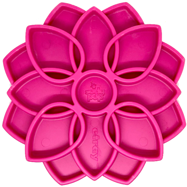 Enrichment Trays and Bowls by SodaPup