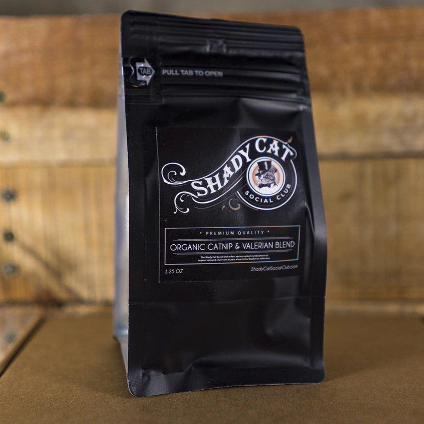 Shady Cat Social Club Catnip