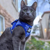 Harness & Leash Sets by Travel Cat