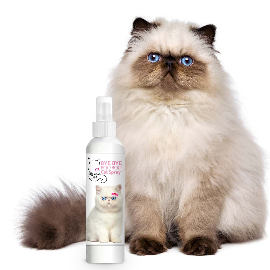 The Blissful Cat Grooming Products