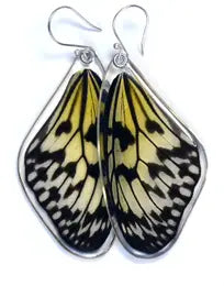 Wingstitution Butterfly Jewelry
