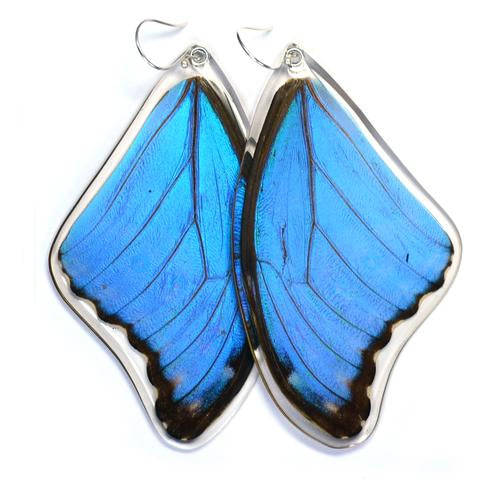 Wingstitution Butterfly Jewelry