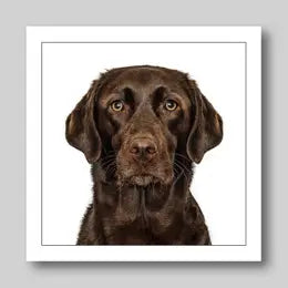 Gruff Pawtraits Greeting Cards