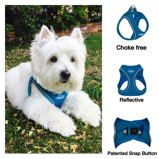 Plush Step In Patterned Harnesses