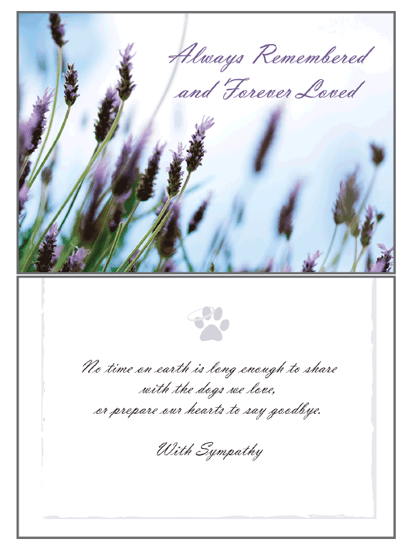 Dog Speak Sympathy Card Collection