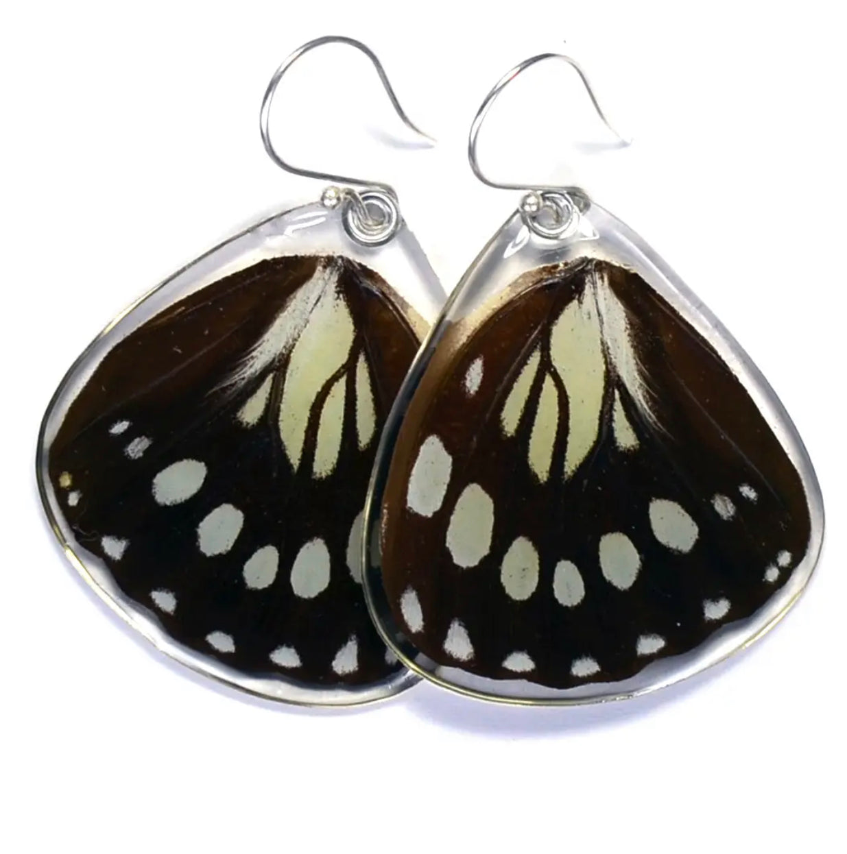 Wingstitution Butterfly Jewelry