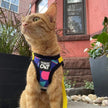 Harness & Leash Sets by Travel Cat