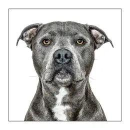 Gruff Pawtraits Greeting Cards