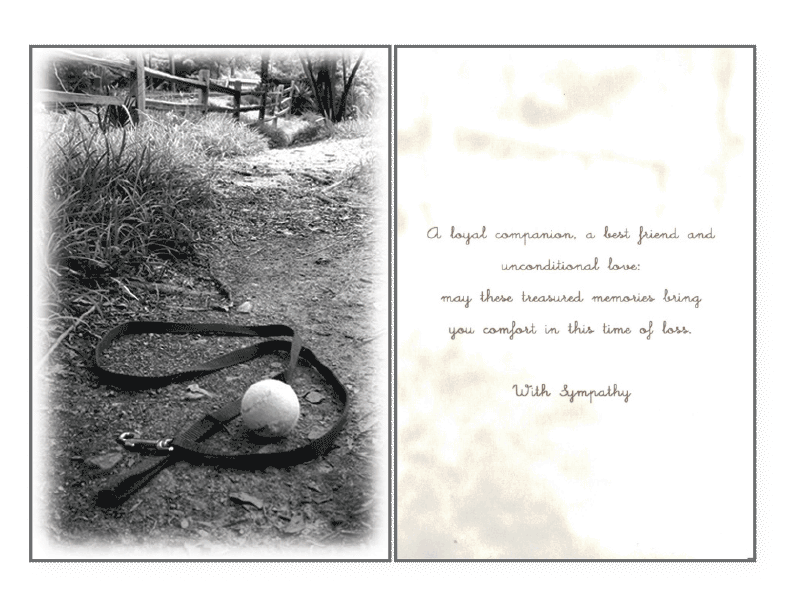 Dog Speak Sympathy Card Collection