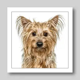 Gruff Pawtraits Greeting Cards