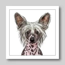 Gruff Pawtraits Greeting Cards