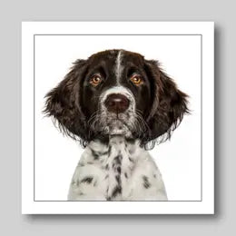 Gruff Pawtraits Greeting Cards