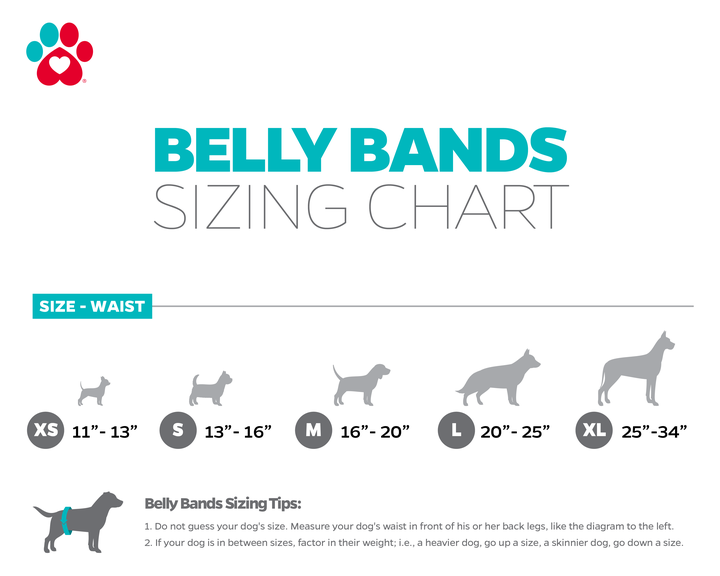 Pet Parents Washable Dog Diapers and Wraps