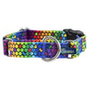 2 Hounds Design Martingale Style Collars