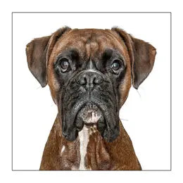 Gruff Pawtraits Greeting Cards
