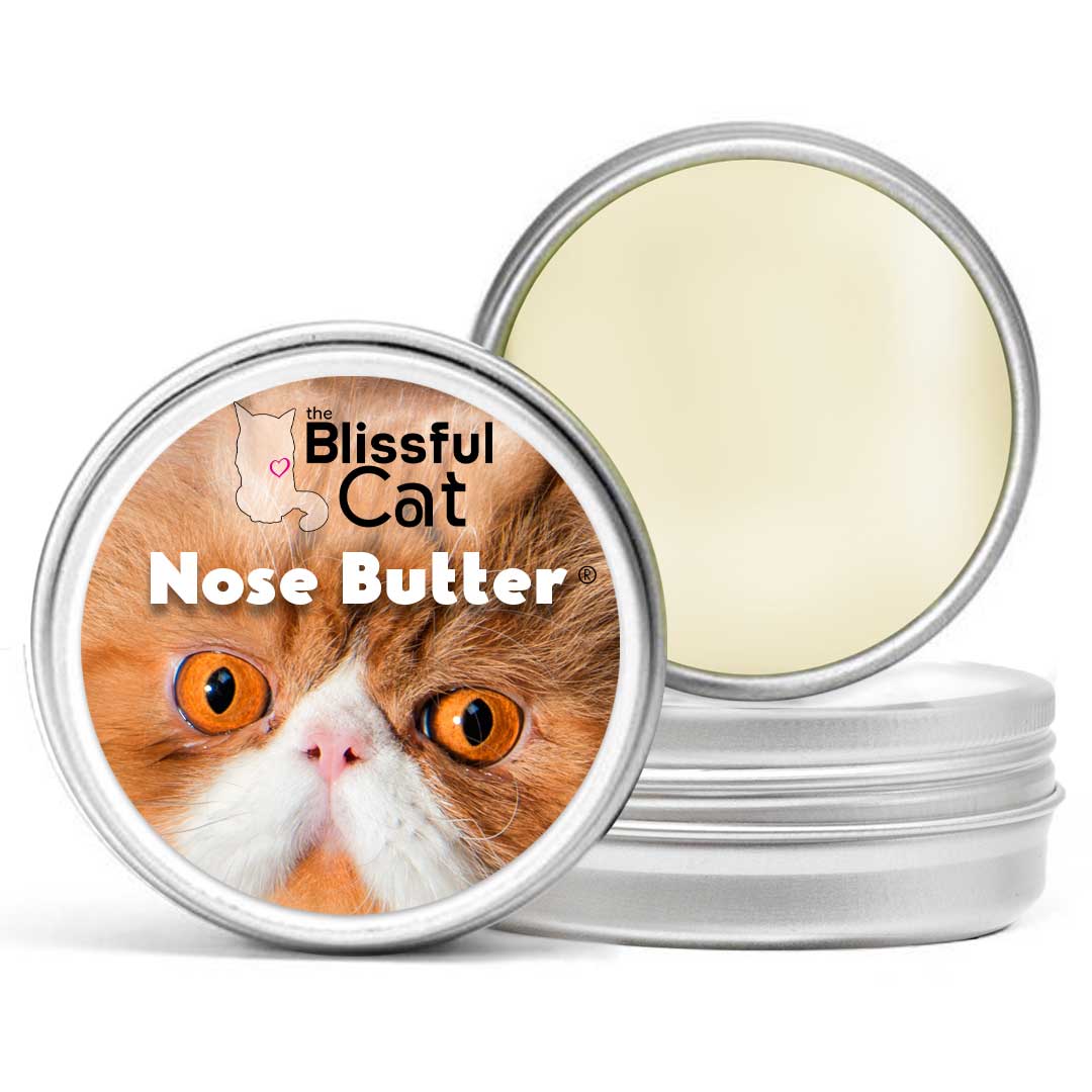 The Blissful Cat Butter Balm