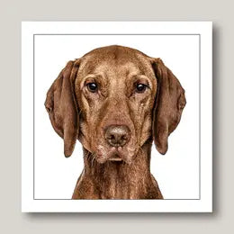 Gruff Pawtraits Greeting Cards