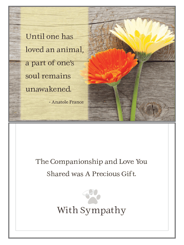 Dog Speak Sympathy Card Collection