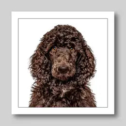 Gruff Pawtraits Greeting Cards