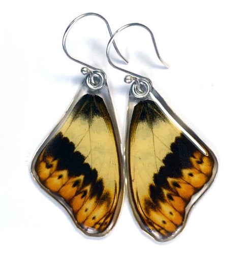Wingstitution Butterfly Jewelry