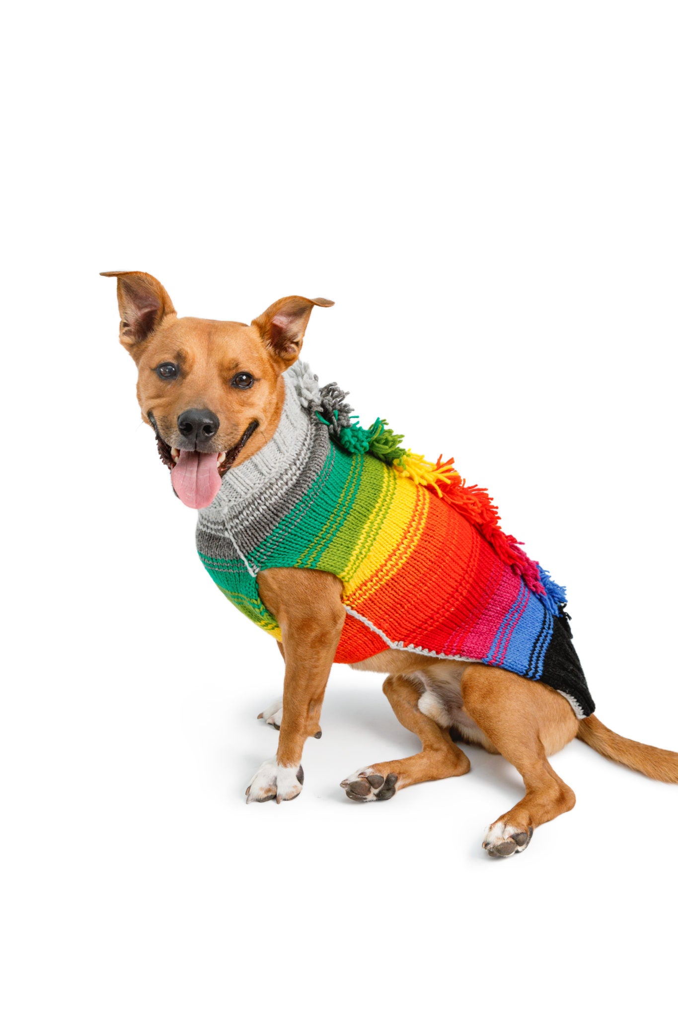 Chilly Dog Sweaters, Novelty Collection