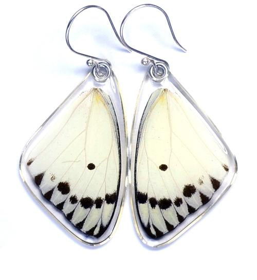 Wingstitution Butterfly Jewelry