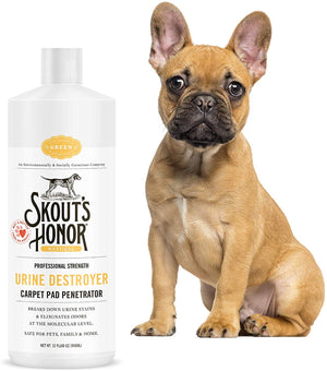 Skout's Honor Professional Strength, Carpet Pad Penetrator~Urine Destroyer