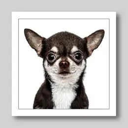 Gruff Pawtraits Greeting Cards