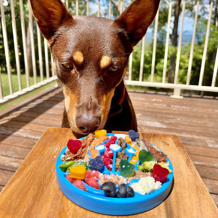 Enrichment Trays and Bowls by SodaPup