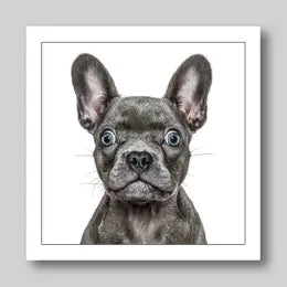 Gruff Pawtraits Greeting Cards