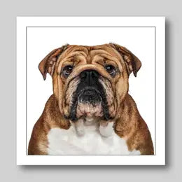 Gruff Pawtraits Greeting Cards