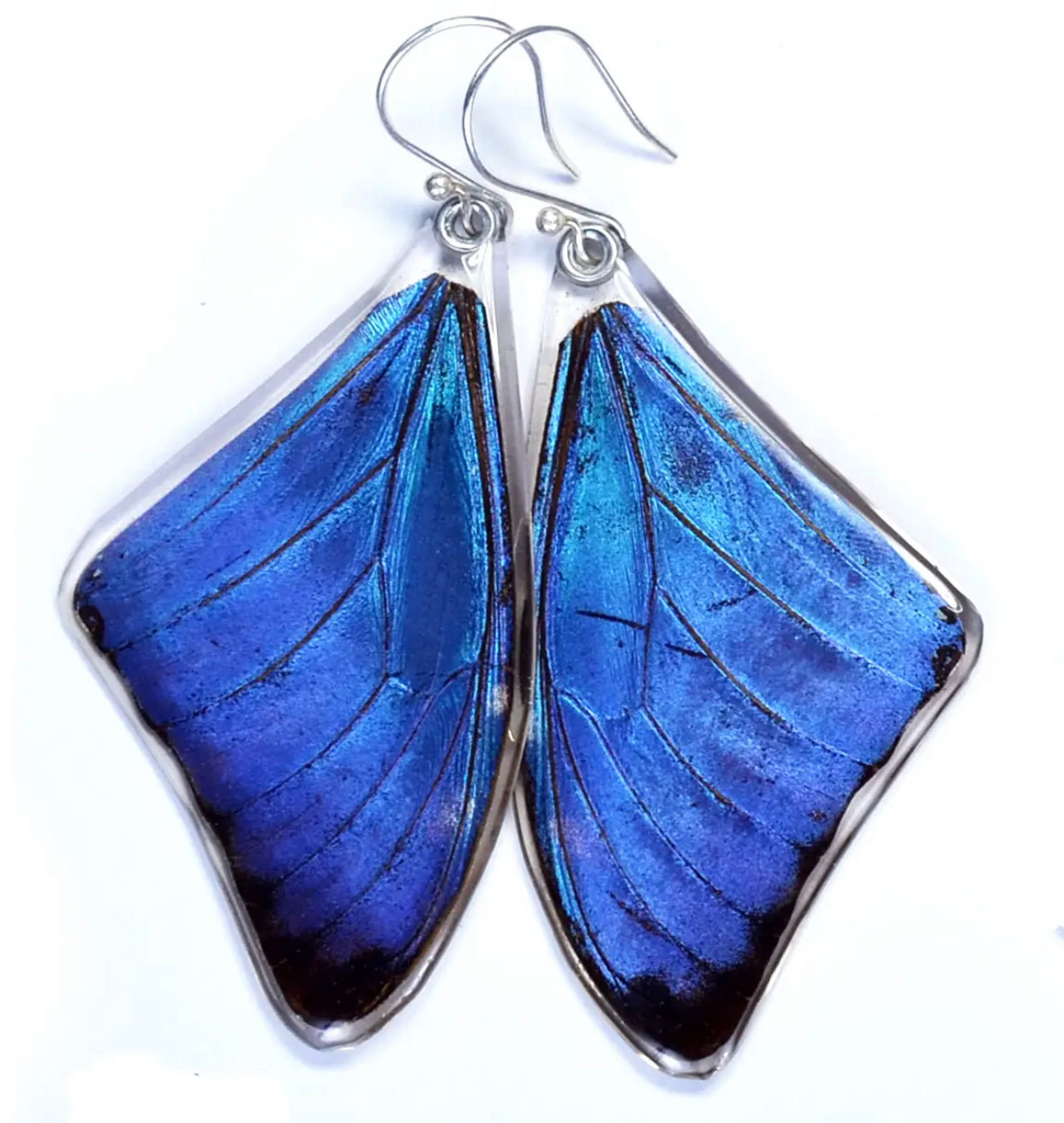 Wingstitution Butterfly Jewelry