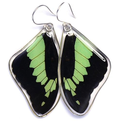 Wingstitution Butterfly Jewelry