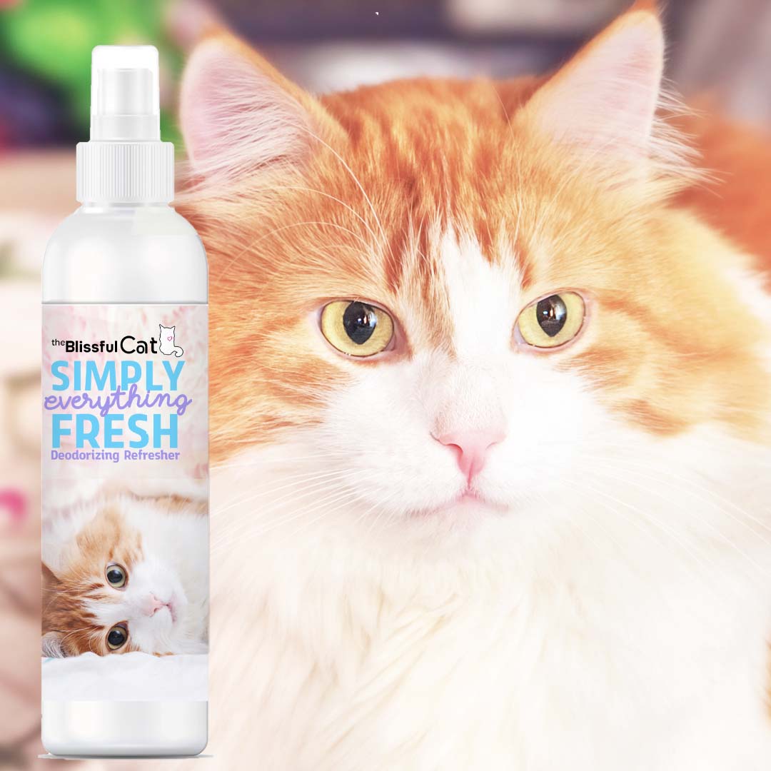 The Blissful Cat Grooming Products