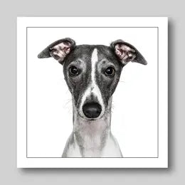 Gruff Pawtraits Greeting Cards