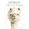 Happy Birthday Cards, by Wrendale Designs