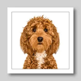 Gruff Pawtraits Greeting Cards