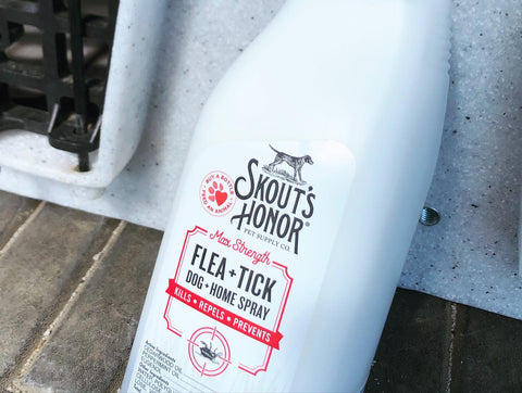 Flea and Tick Home Spray