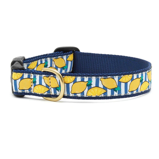Up Country Collars