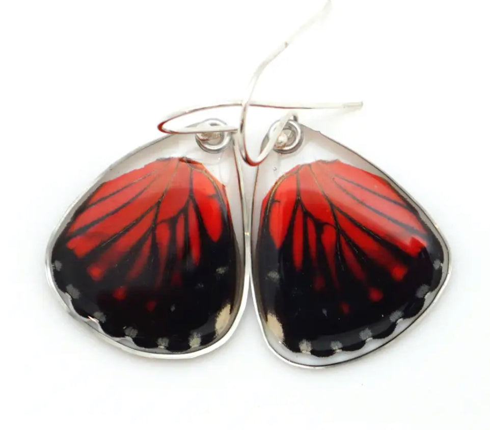 Wingstitution Butterfly Jewelry