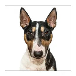 Gruff Pawtraits Greeting Cards