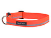 Strolls Collar with Reflective Stripe