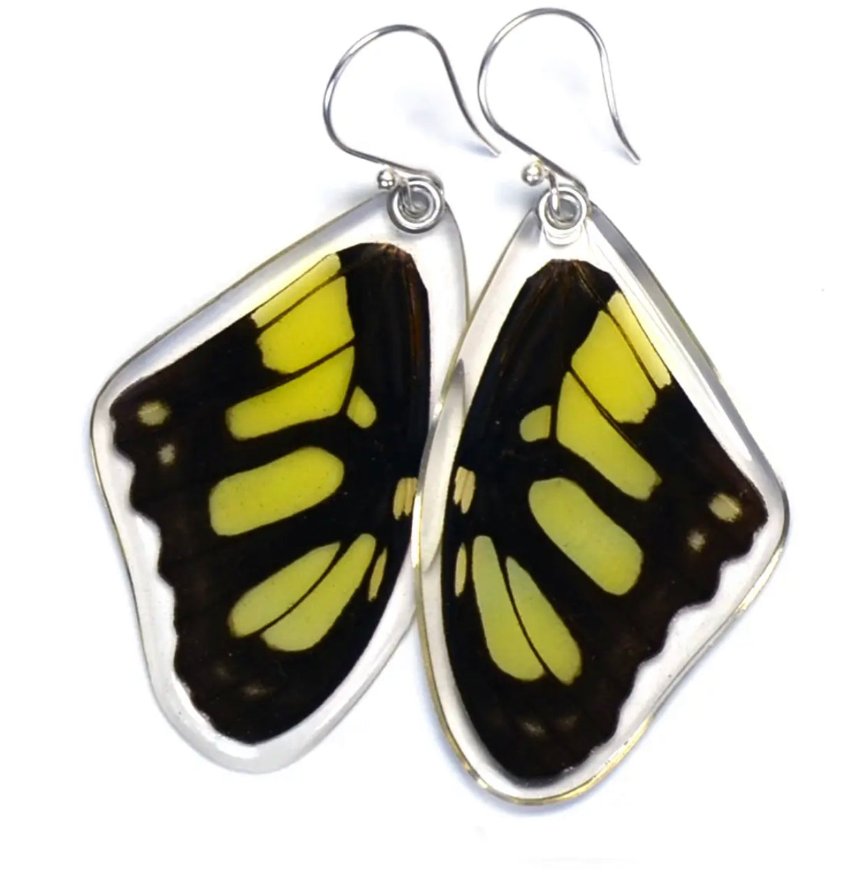Wingstitution Butterfly Jewelry