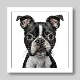 Gruff Pawtraits Greeting Cards