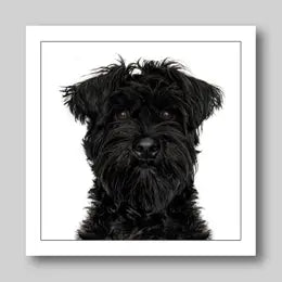 Gruff Pawtraits Greeting Cards