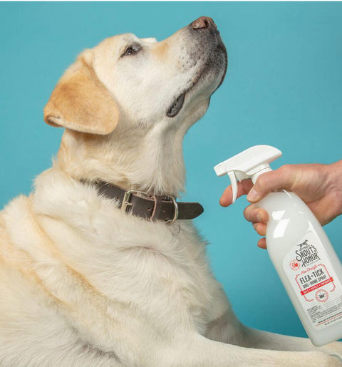 Flea and Tick Home Spray
