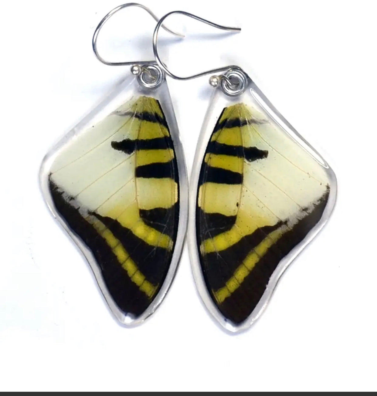 Wingstitution Butterfly Jewelry