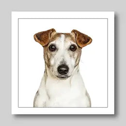 Gruff Pawtraits Greeting Cards