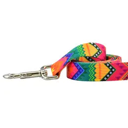 2 Hounds Design Leashes