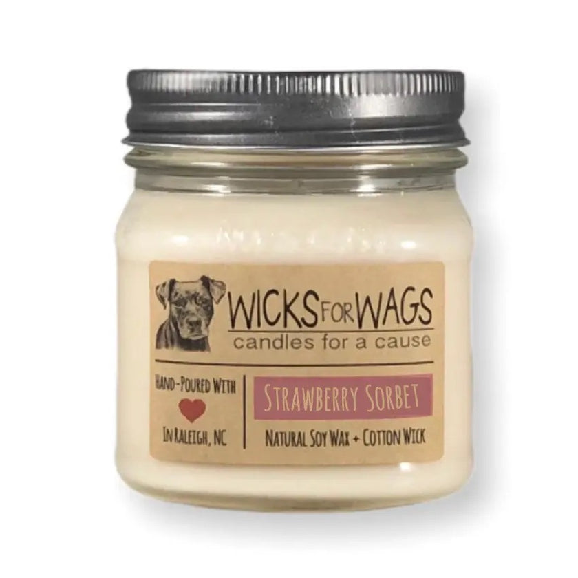 Wicks for Wags